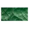 Nuvo Crackle Mousse Chameleon Green