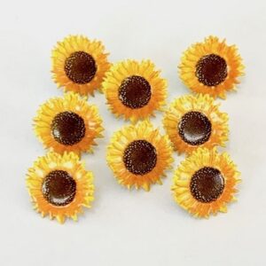 Brads Tournesols