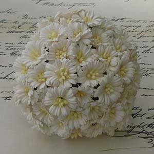 WOC Fleurs Cosmos Daisy Blanches