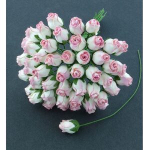 Wild Orchid Craft Fleurs 50 Boutons de Roses Roses 2 tons