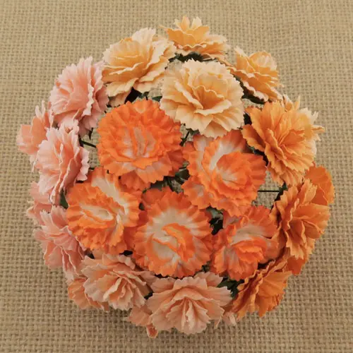 Wild Orchid Craft Fleurs 50 Oeillets Pêche - Orange