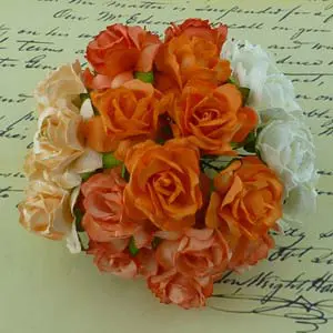 WOC Fleurs Wild Roses Pêches/Oranges/Blanches