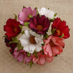 Wild Orchid Craft 50 Chrysantèmes Rouges Roses & Blanches