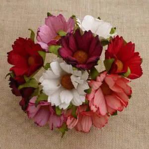 Wild Orchid Craft 50 Chrysantèmes Rouges Roses & Blanches