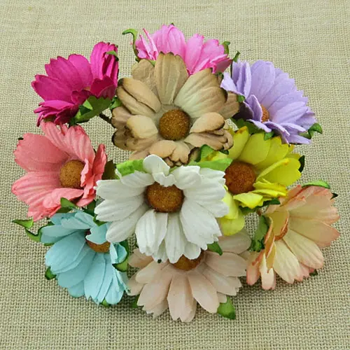 Wild Orchid Craft 50 Chrysantèmes Mixtes