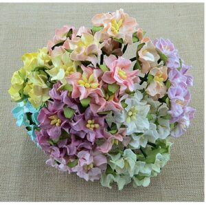 Wild Orchid Craft 50 Fleurs de Gardenia Mixtes Miniatures