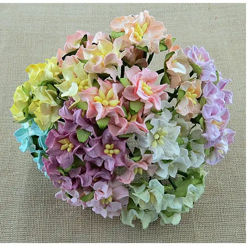 Wild Orchid Craft 50 Fleurs de Gardenia Mixtes Miniatures