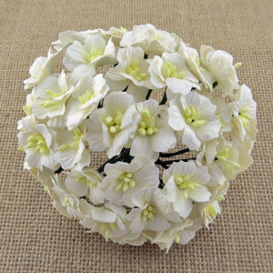 Wild Orchid Craft Fleurs Apple blossoms blanches