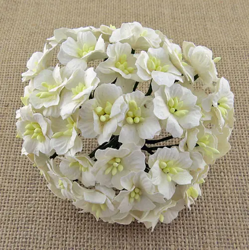 Wild Orchid Craft Fleurs Apple blossoms blanches