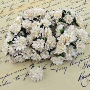 Wild Orchid Craft Fleurs 50 Asters Blanches