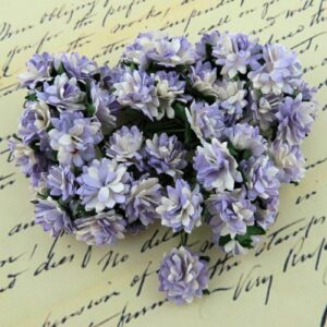 Wild Orchid Craft Fleurs 50 Asters Lilas