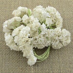 Wild Orchid Craft 100 Fleurs de Gypsophile