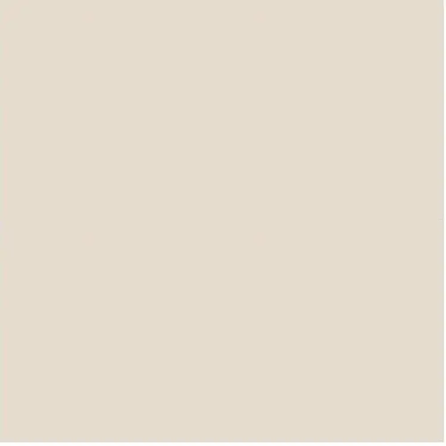 Bazzill smooth Walnut Cream