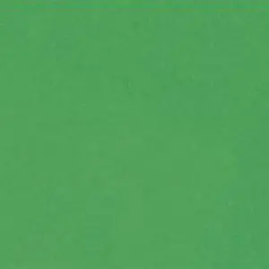Bazzill smooth Green Apple