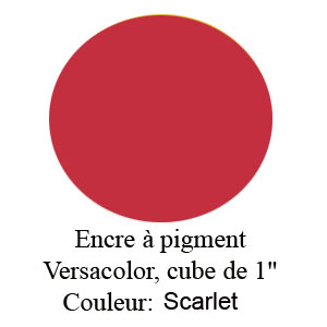 Encre Versacolor Scarlet