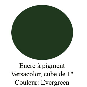 Encre Versacolor Evergreen